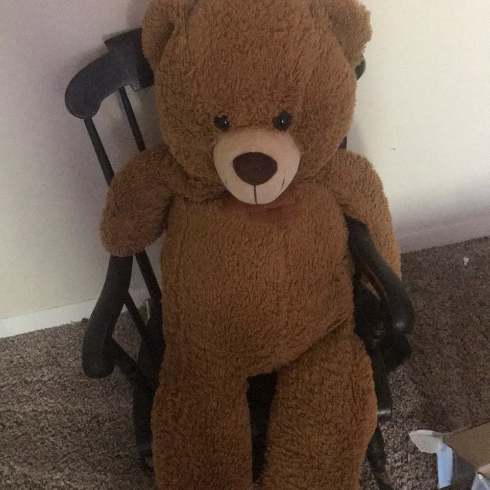 A teddy bear